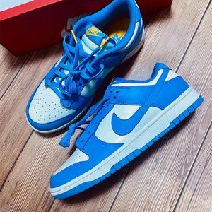 Nike Dunk Low Coast (Women's) DD1503-100